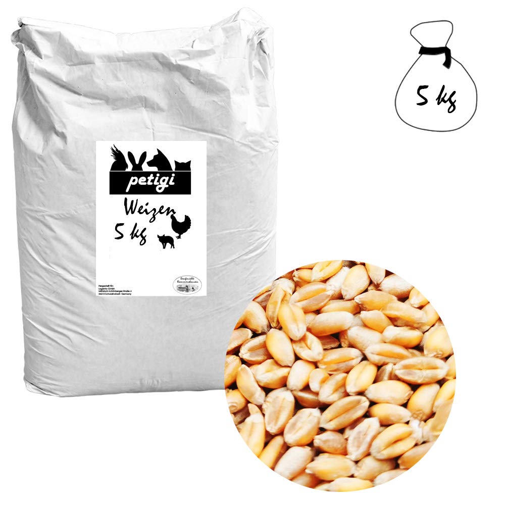 Petigi 5 kg Grain Graines de Blé Aliments pour Animaux Poulet Volaille