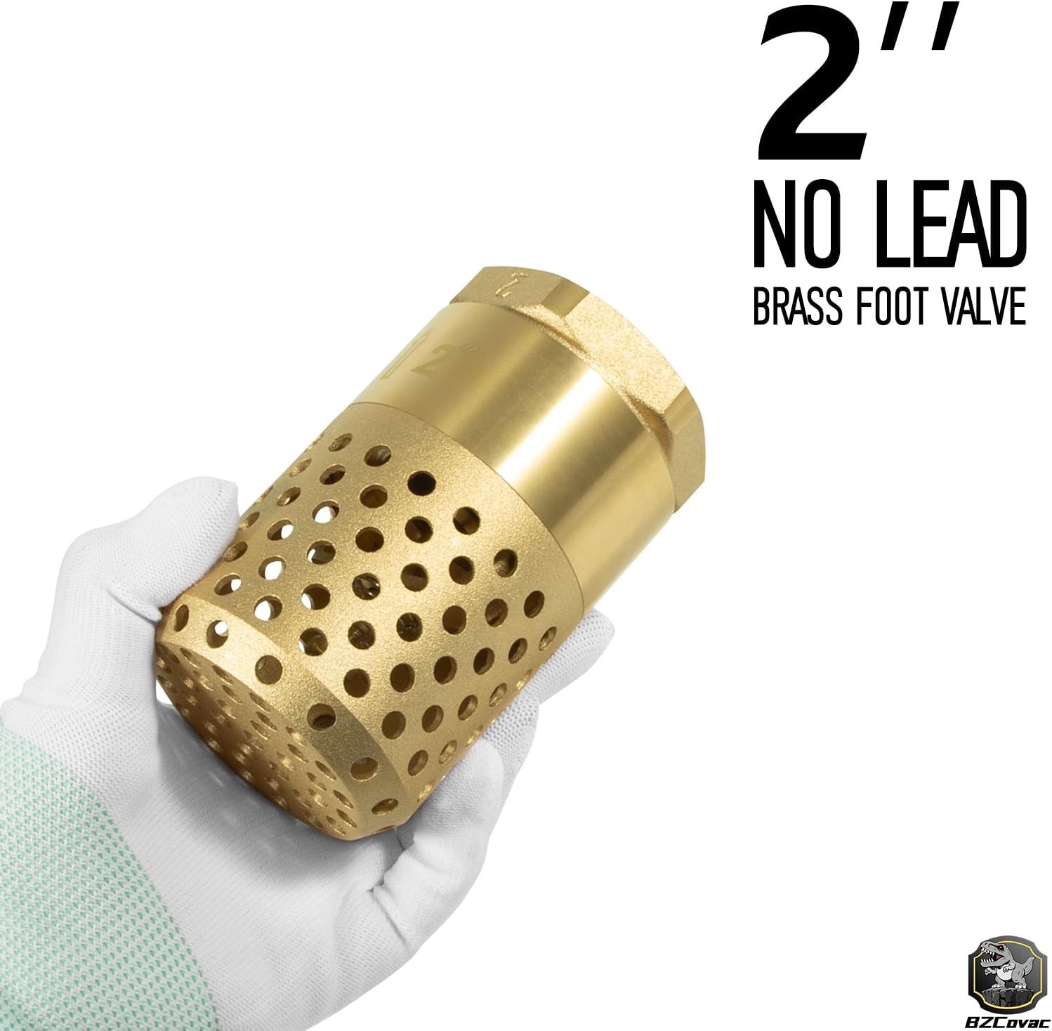 2-Inch Brass Foot Valve with Mesh Strainer, Universal One-Way Female NPT Check Valve with Backflow Prevention, Lead-Free Brass Construction for Irrigation and Water Pump Systems