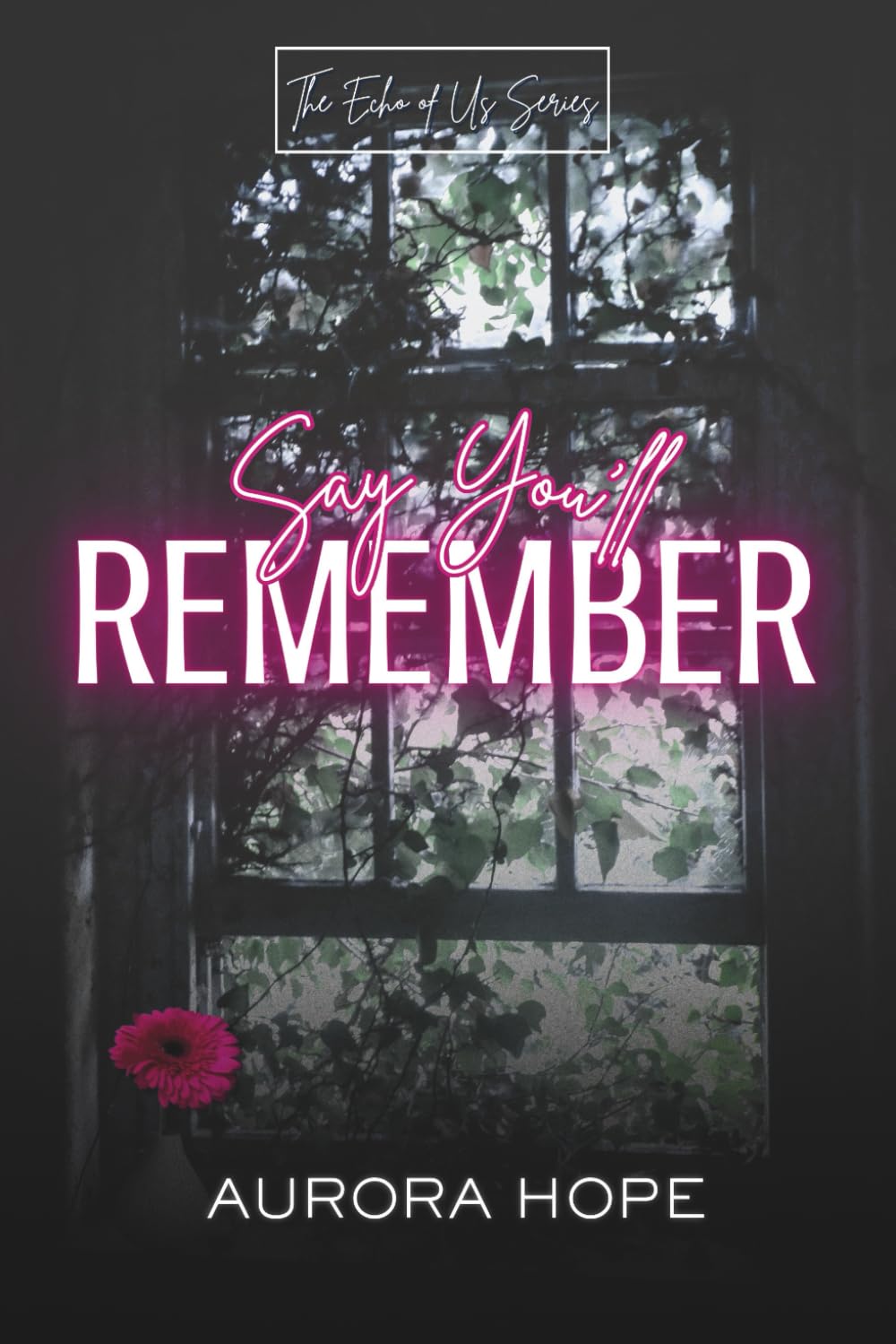 Say You'll Remember (The Echo of Us Series)