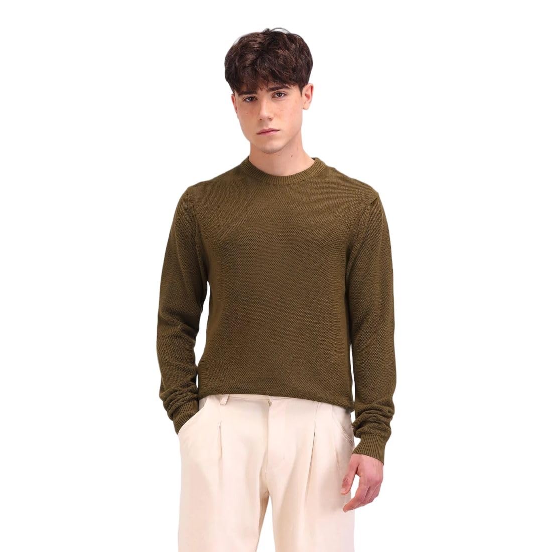 flying machine Men's Regular Fit Sweater| Patterned Weave-picture-22