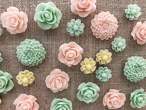 24Pcs Decorative Pushpins,Cork Board Tacks,Bulletin Board Tacks,Thumb Tack Decorative for CorkBoard, Office Organization or Home
