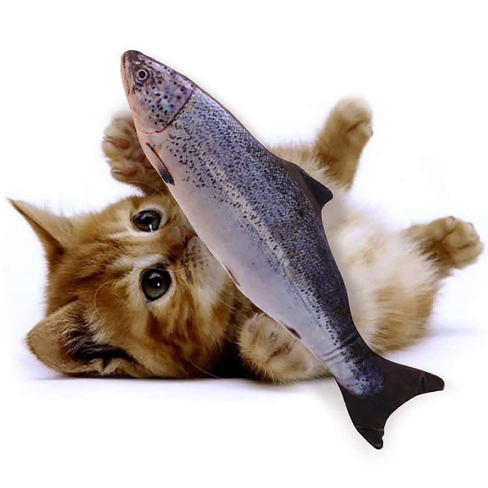 Simulation poisson en peluche interactif pour l'animation des après-midis du chat - 8