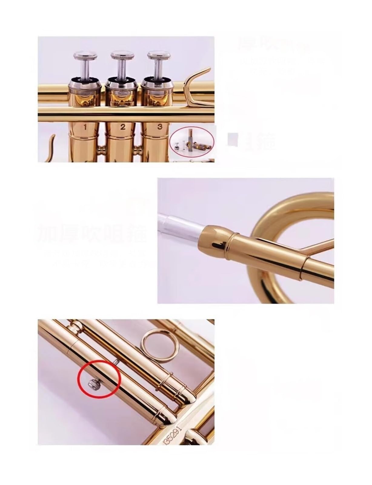 trąbka instrument Trąbka w klasie B dla początkujących zespół egzaminacyjny dla dzieci instrument dęty blaszany dla dorosłych złoty