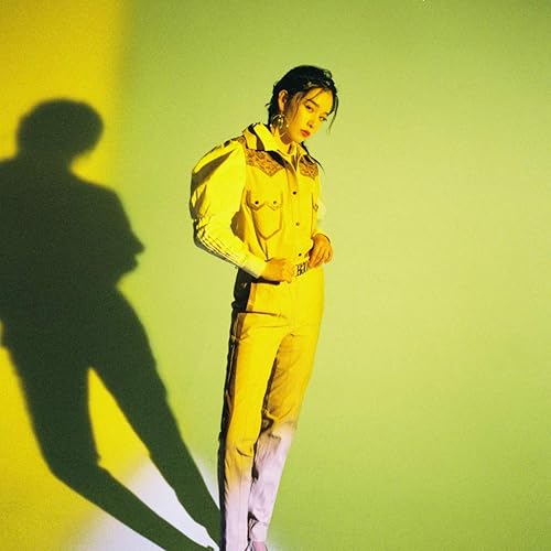 Miniatura 6 de Selens 15.8X19.7inch40X50cm Gel Filtro de Color Corrección Gel Filtro de Iluminación para Estudio Fotográfico Luz Cabeza Roja Linterna