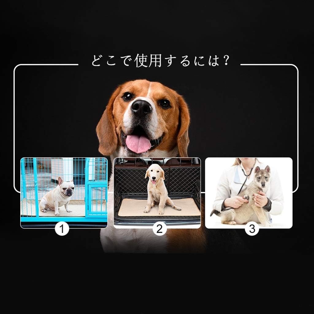 Dog Changing Mats Reusable and Absorbent Pet Changing Mats Waterproof Washable Dog Toilet Mats Puppies Padded Training Mats (Color : Style1 Size : M) (Style1 L)