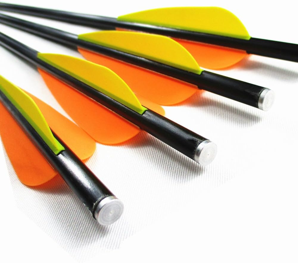 12 Pk Crossbow Bolts 16 Inch Fiberglass Hunting Arrows Fletched 4 Inch Vanes with Replaceable 100 Grain Screw-in Points and Flat Nock