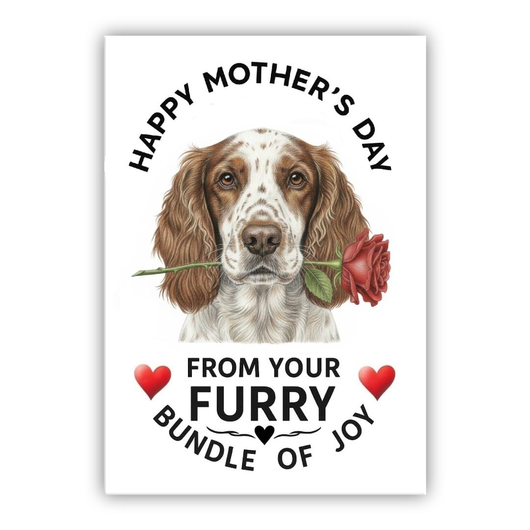 Mother’s Day Dog Card – Pet Mothers Day Greeting Card from the Dog - “Happy Mother’s Day” - Many Breeds Available (• Springer Spaniel)