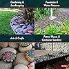 Mexican Beach Pebbles | 20 Pounds of Smooth Unpolished Stones | Hand-Picked, Premium Pebbles for Garden and Landscape Design | Mixed, 2 Inch - 3 Inch