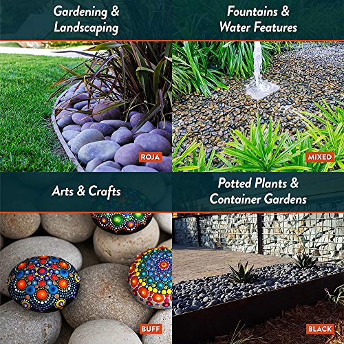 Mexican Beach Pebbles | 20 Pounds of Smooth Unpolished Stones | Hand-Picked, Premium Pebbles for Garden and Landscape Design | Mixed, 2 Inch - 3 Inch