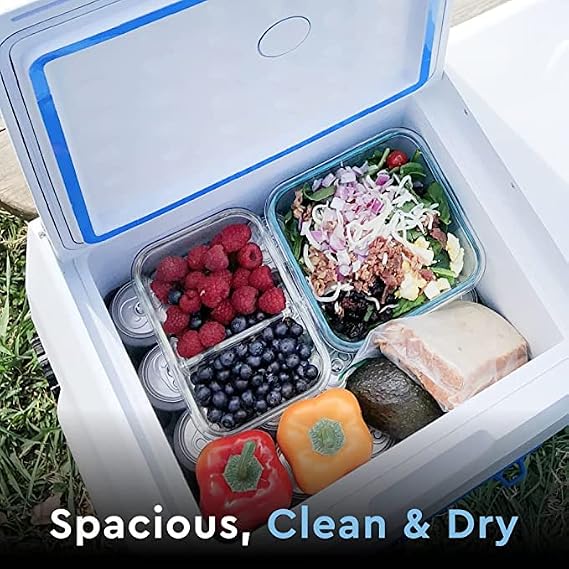 Gosun Chill Electric Cooler Without Powerbank | No Ice Needed | No Mess