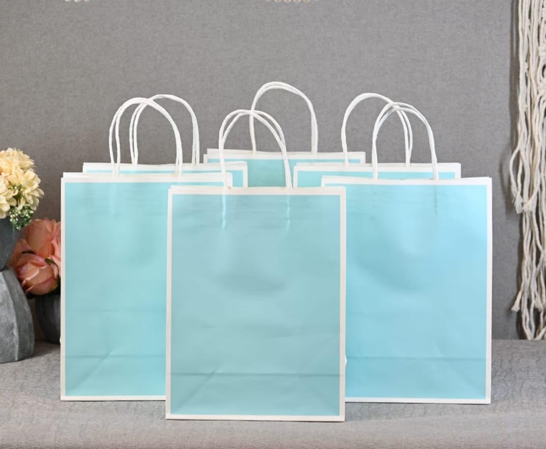 SATYAM KRAFT 6 Pcs Paper Bag Goodie Bags With Handle Gift Paper bag, gift bag for corporate event, marriage Return Gifts, Christmas, Birthday, Xmas, Wedding, Party, Seasons Greetings (Medium) (Blue) (B0CTQVZVND) Amazon Price History, Amazon Price Tracker