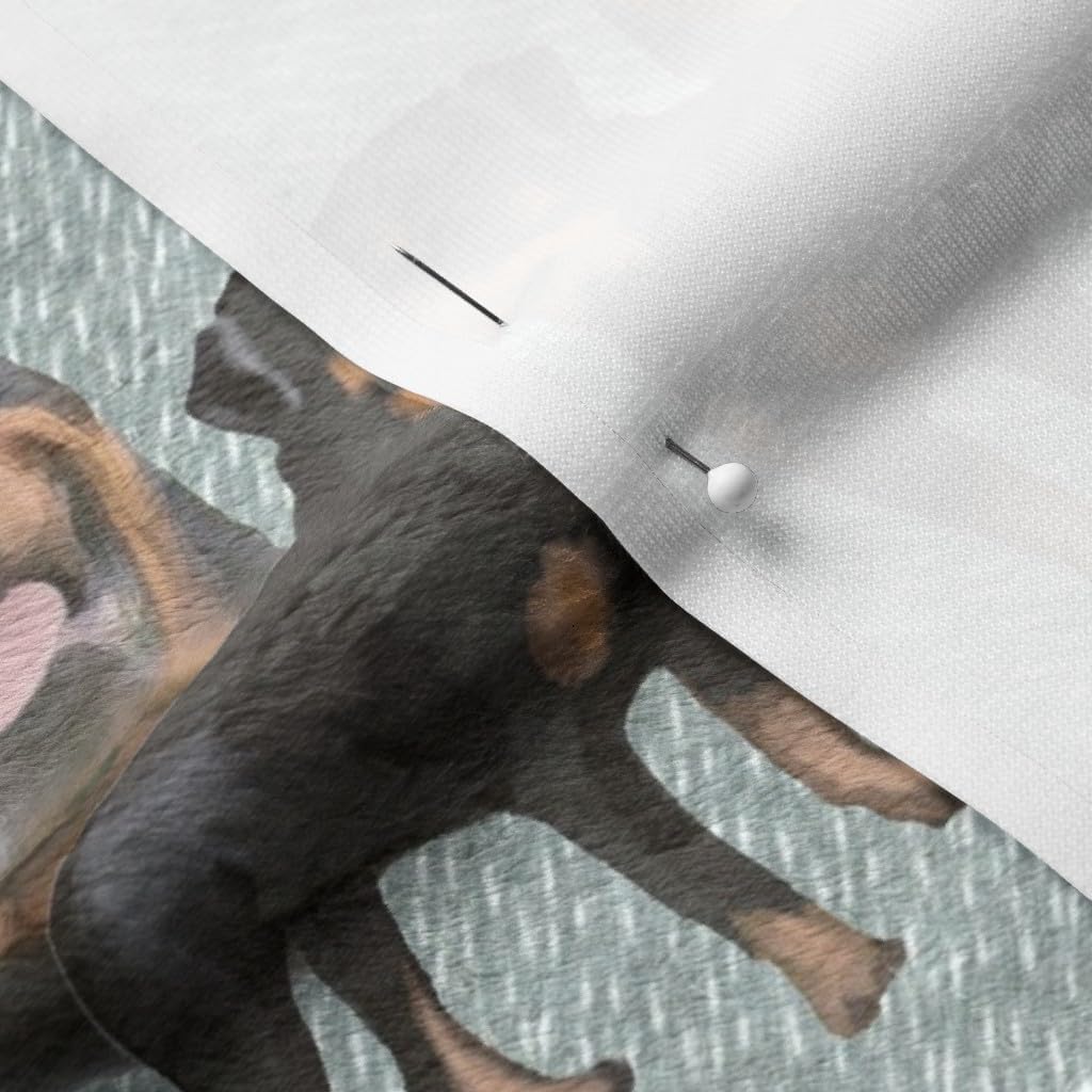 Spoonflower Fabric - Rottweiler Dog Animals Pet Portrait Printed on Minky Fabric by The Yard - Sewing Baby Blankets Quilt Backing Plush
