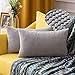 MIULEE Fundas Cojines para Cama Funda de Almohada de Pana Cojin Rectangular de Sofa Color Solido Poliéster Decoracion para Habitacion Dormitorio Oficina Silla Salon Comedor 2 Pieza 30x50cm Gris Claro