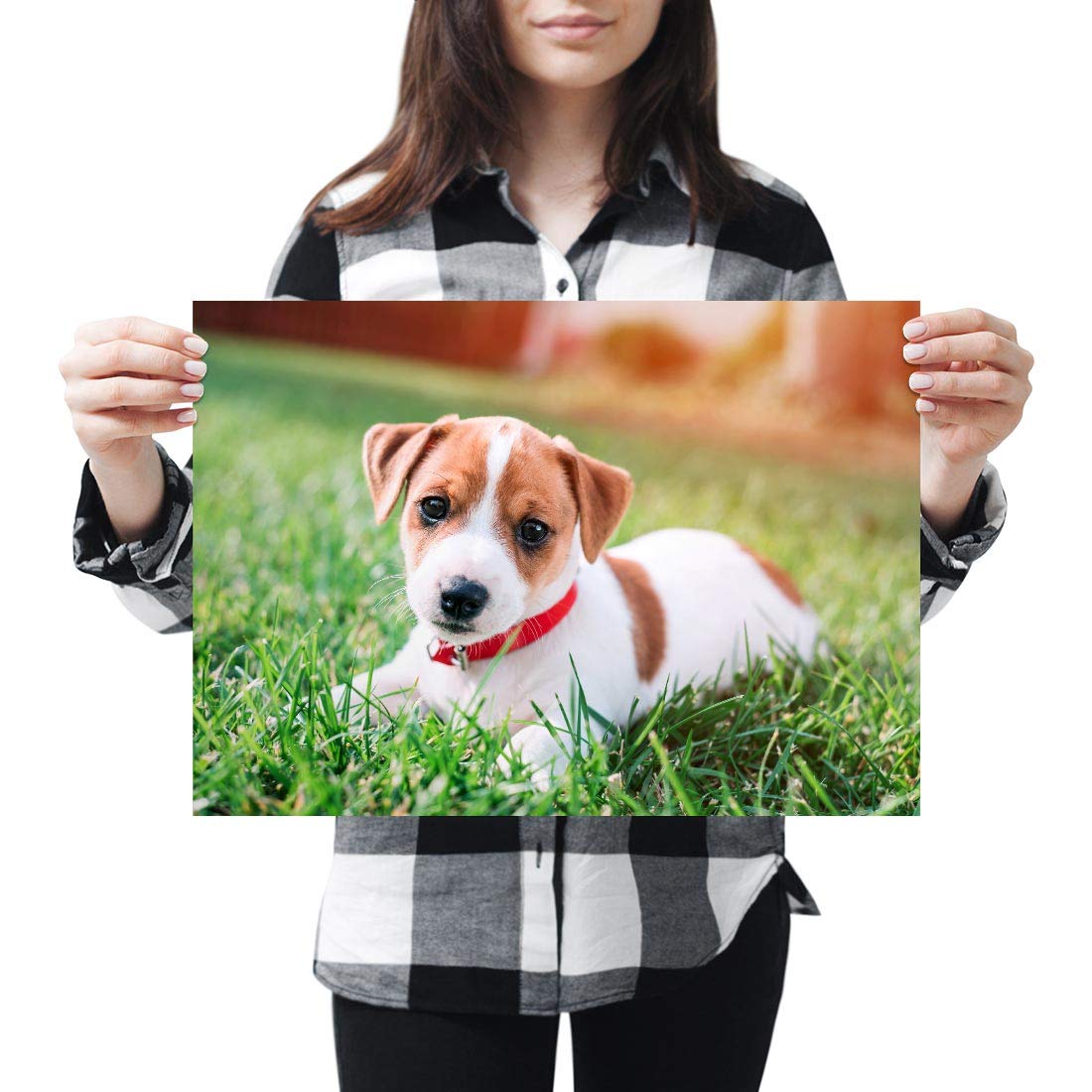 Destination Vinyl Posters A3 - Jack Russell Terrier Puppy Dog Art Print 42 X 29.7 cm 280gsm satin gloss photo paper #15879