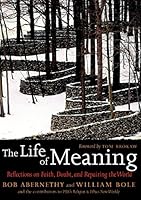 Algopix Similar Product 13 - The Life of Meaning Reflections on