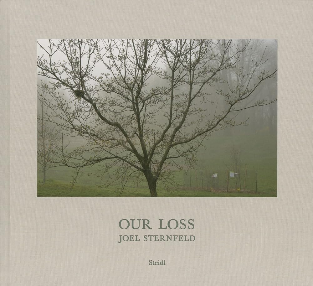 Joel Sternfeld: Our Loss. Sternfeld, Feroudj, Design 9783958296589 New.#+,.#+,.#