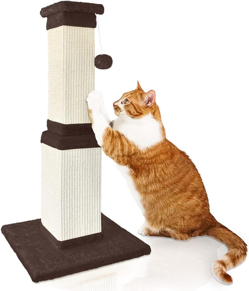 Pet Supplies : AGYM Cat Scratching Post, 32 Inch Large Cat Scratch Post for Cats and Kittens, Nature Sisal Modern Cat Scratcher for Indoor Cats, Protect Your Furniture and Exercise Cats, Beige : 