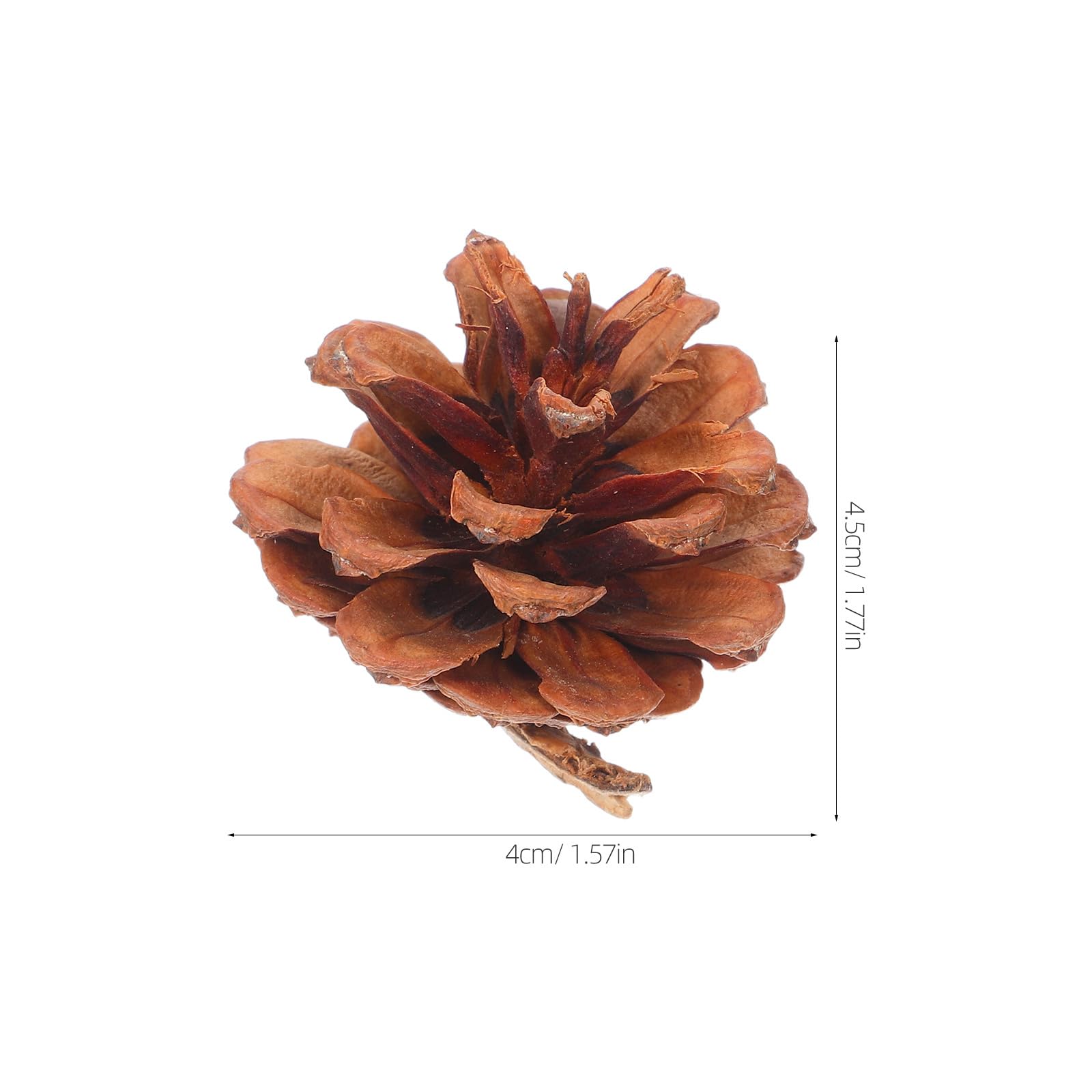 Amosfun 130 Mini piñas de Pino otoñales de 3-4 cm, Adornos Naturales para Acción de Gracias, Bodas, jarrones, Decoraciones navideñas.