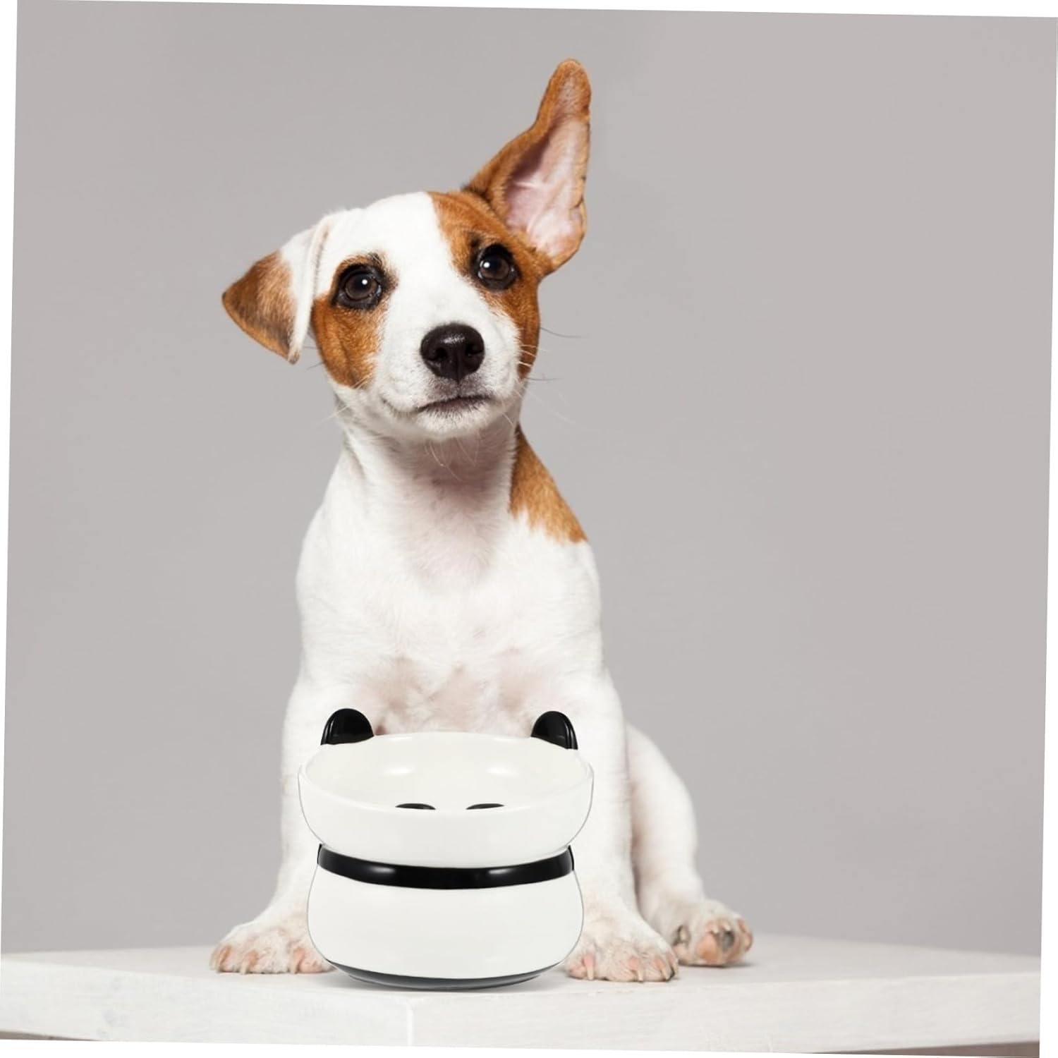 Ceramic Cat Bowl Oblique Mouth Design Neck Protector PET Feeding Bowl Food-Grade Ceramic Cat Dish Easy to Clean Non-Slip Base