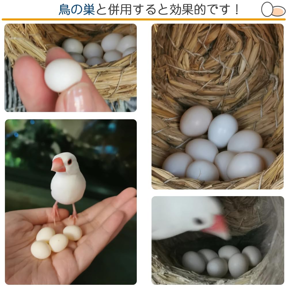 Amazon.co.jp: YAYAHDS(よしこ) 偽卵 鳥おもちゃ 6個セット 偽の
