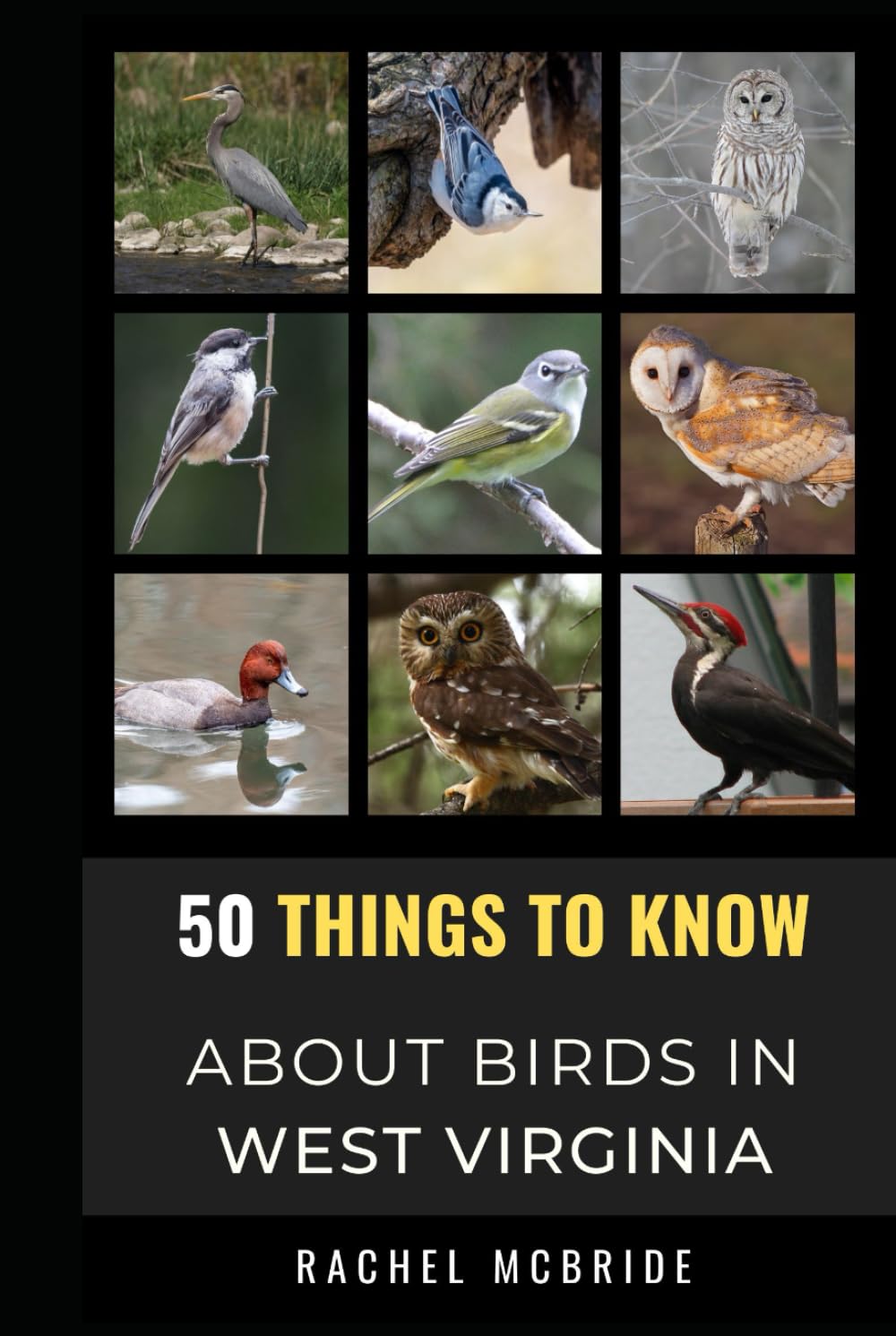 50 Things to Know About Birds in West Virginia: Bird Watching in the Wild and Wonderful State (50 Things to Know About Birds and Birdwatching: ... identification tips, and regional bird books)