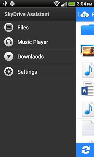 SkyDrive Assistant Pro