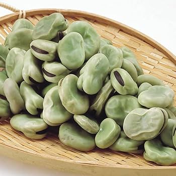 そら豆 そら豆 千倉一寸そら豆 1dl 渡辺農事（株） : グリーンロフトネモト