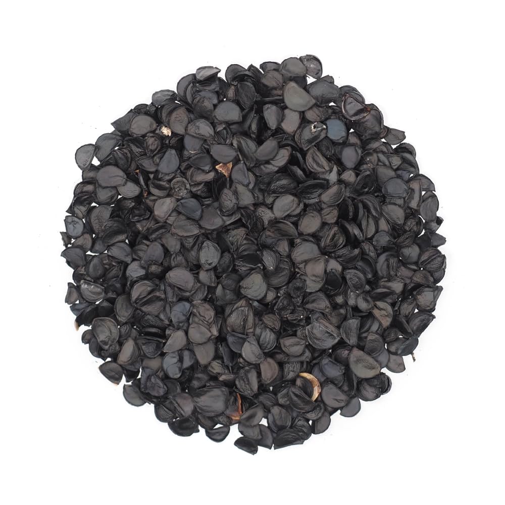 4月入荷 オテロイ 種子 2000粒 チタノタ アガベ 4月入荷 オテロイ 種子 2000粒 チタノタ アガベ m77271831060_1