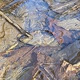 Relocation [Explicit]