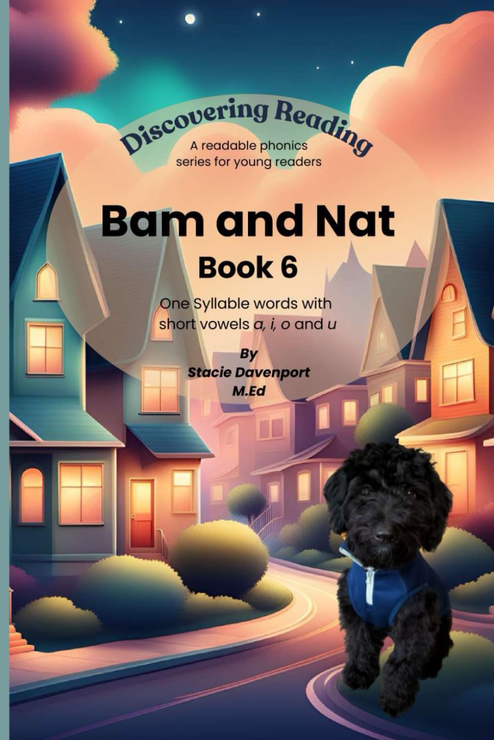 Discovering Reading: A Readable Phonics Series for Young Readers. Bam and Nat: Book 6 - CVC words with short vowels a, i, o and u