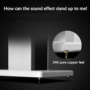 BTZHY Speaker Stands,A Pair of Wood Grain Hollowed Stands, for Optional Sand Filling Tuning, Kill Any Floor Resonance, Wire Management