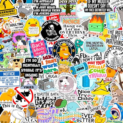 300 Pcs Funny Gift Stickers for Adults (Dirty) Meme Water Bottles Prank Pack Waterproof Cool Sticker for Laptop Hard Hats Sarcastic Vinyl Decals Hilarious Gift