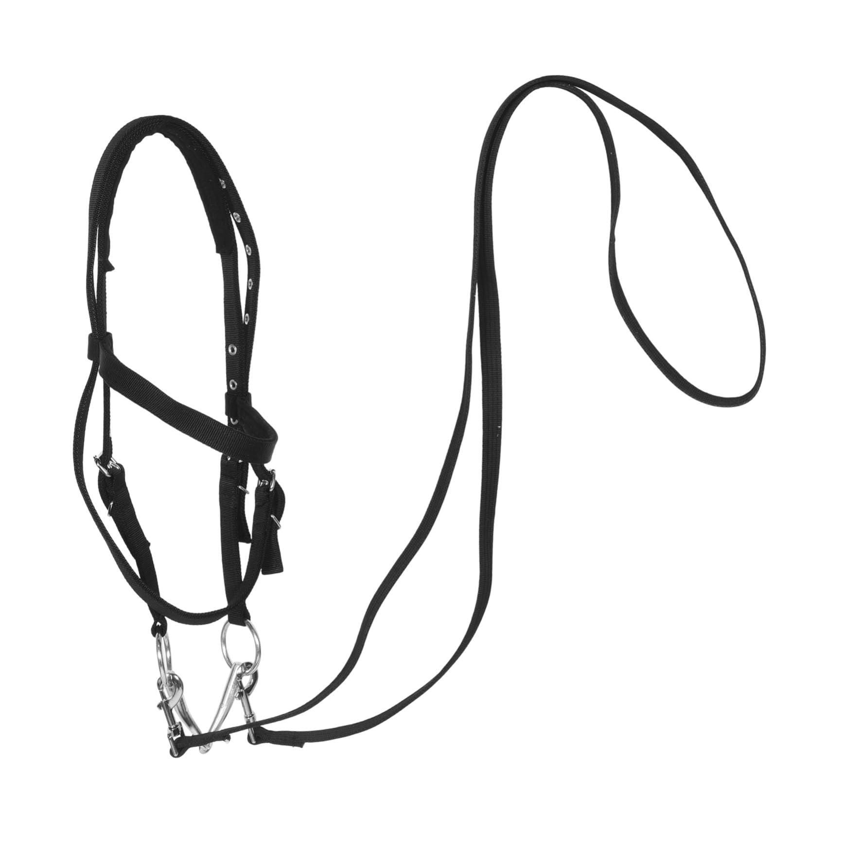 Cavezza per Cavalli in Nylon Nero Ergonomica e Confortevole, Regolabile per Piccoli e Giovani Cavalli, per attività di Equitazione e Addestramento