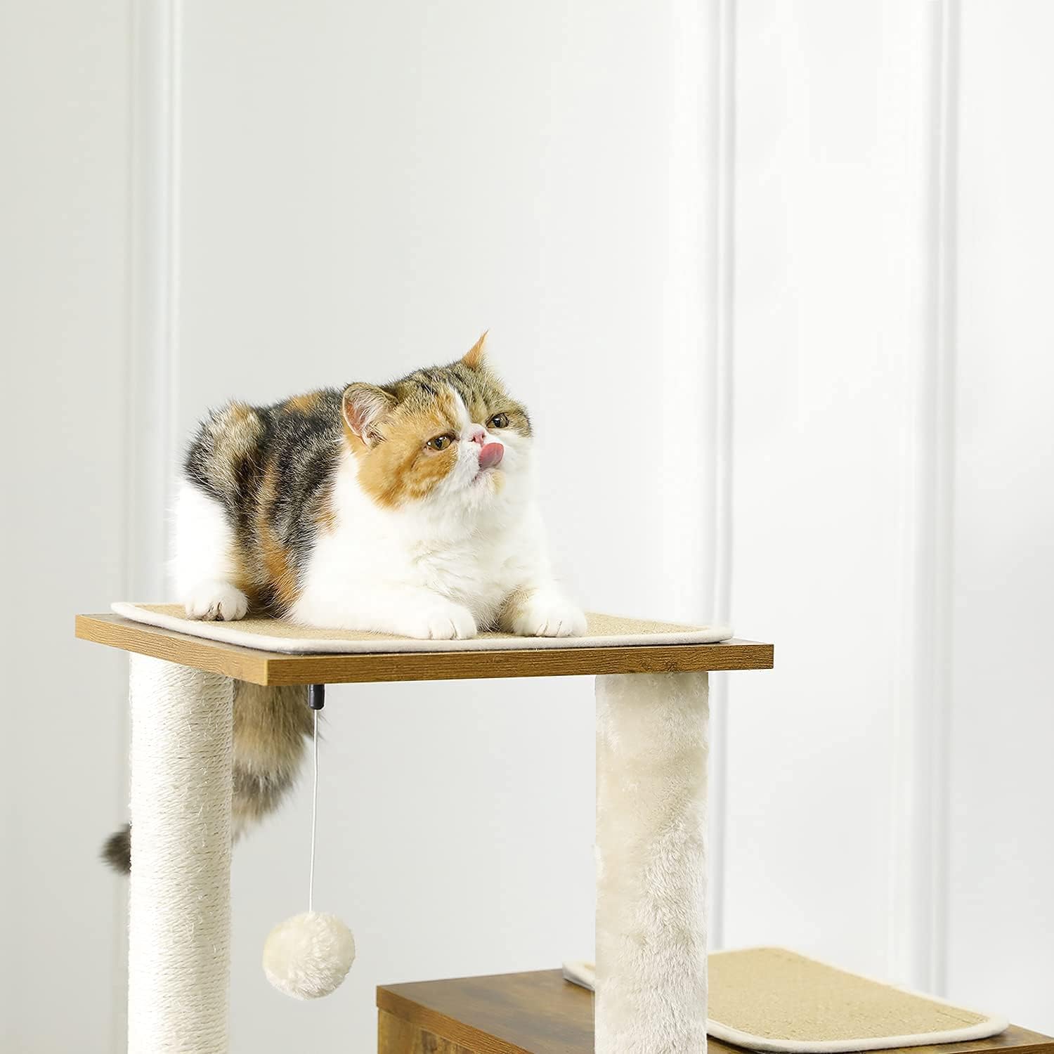 Buy MSmask Modern Wood Cat Tree, MultiLevel Cat Activity Tower with