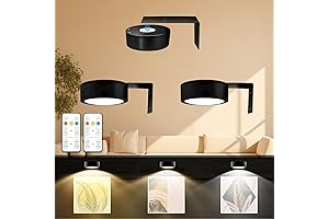 Picture Light Battery Operated with Remote, Effortless Artwork Illumination