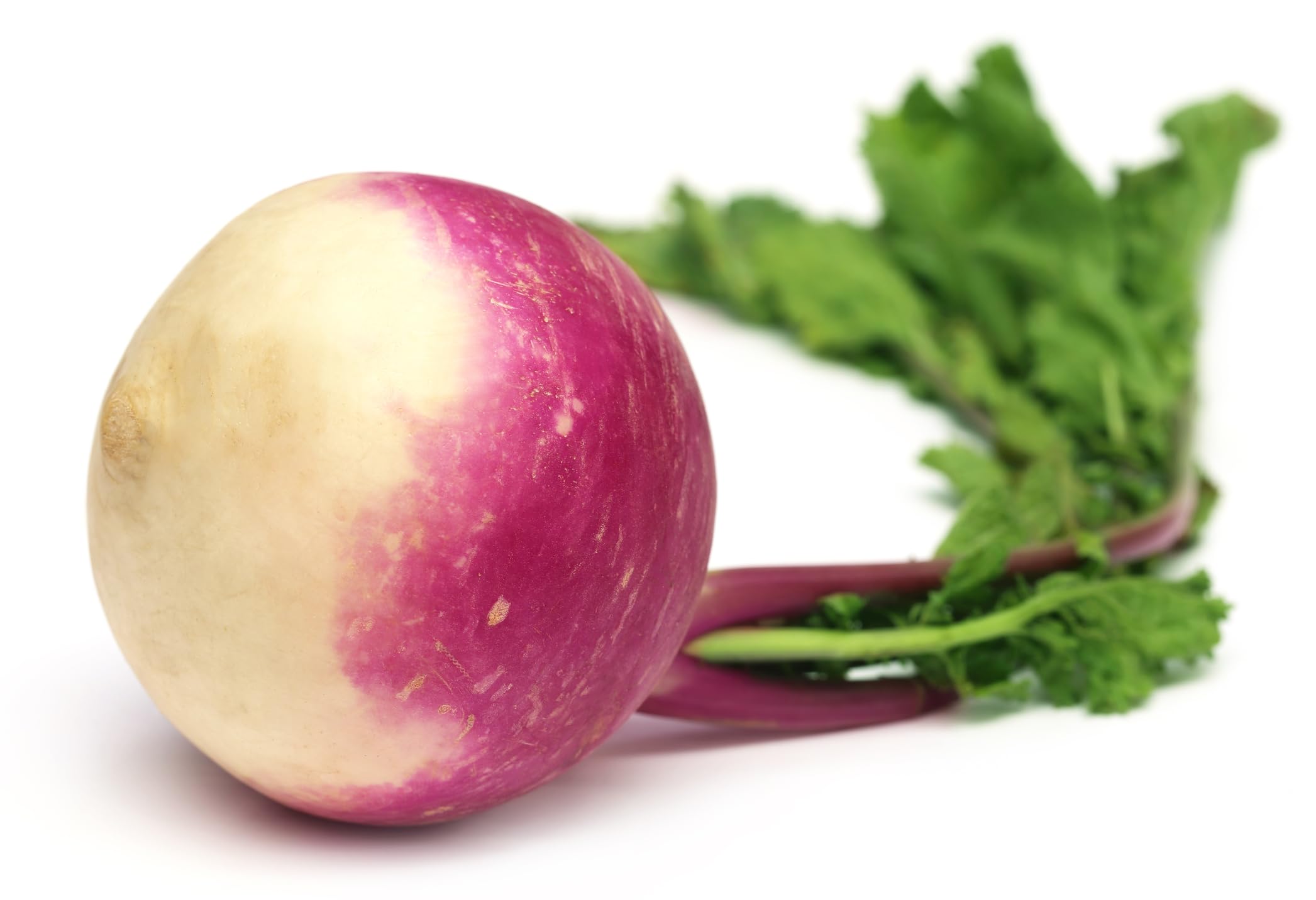 Turnip - Veitches Red Globe - 3000 Seeds