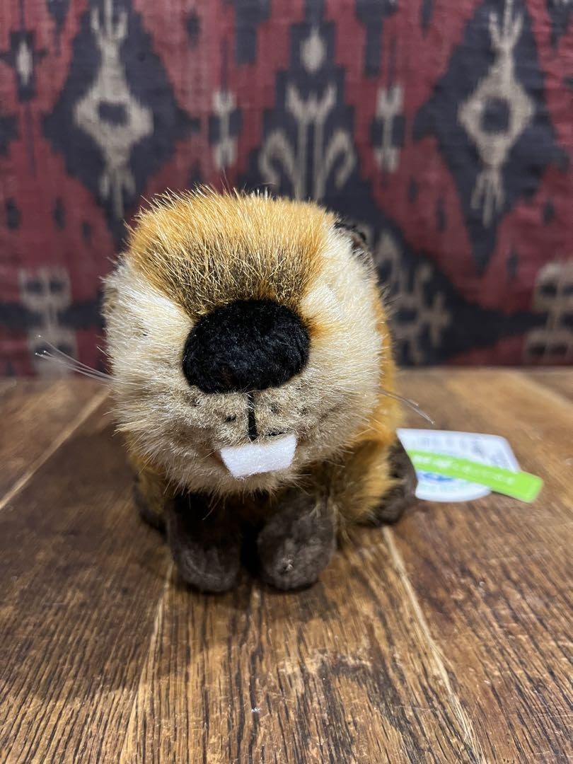 Amazon.co.jp: SUPER BEAVER スーパービーバー 吉徳 通販 ぬいぐるみ