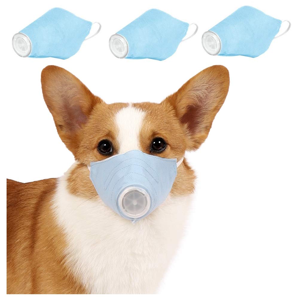 Are Domestic Dogs Pack Animals