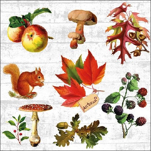4 tovaglioli di carta per decoupage, a 3 strati