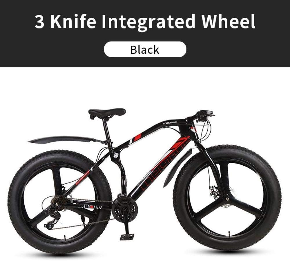 bici da spiaggia 26 pollici