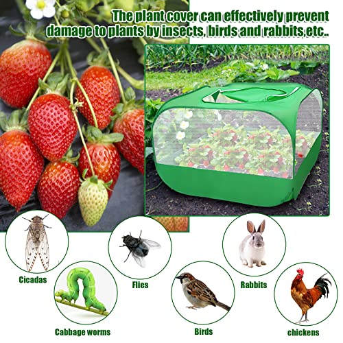 Pop Up Mesh Plant Cover Weatherproof Pop-Net Portable Protective Enclosure With Skylight Net Cage Plant Protector For Fruits Vegetables Seedlings Herbs 4 Ground Stakes For Fixing 39.3×39.3×25.6In #TOP3