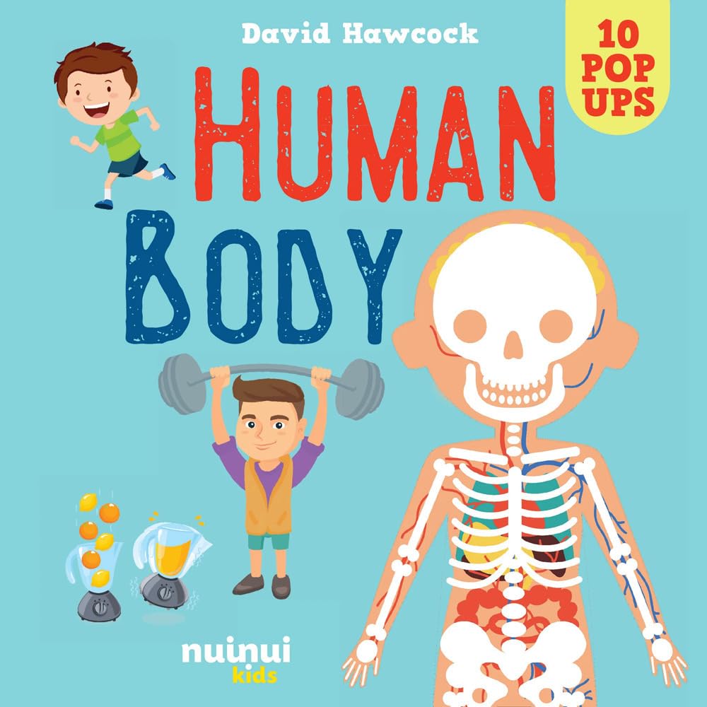 Human Body (Amazing Pop-Up) (Amazing pop-ups)