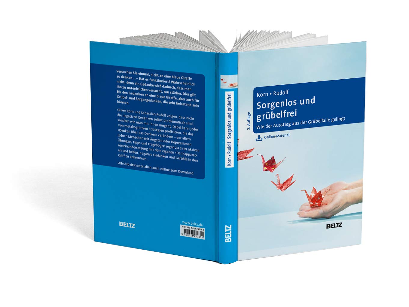 Sorgenlos und grübelfrei: Wie der Ausstieg aus der Grübelfalle gelingt. Selbsthilfe und Therapiebegleitung mit Metakognitiver Therapie. Mit Online-Material
