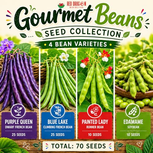 Red Dragon Seeds Gourmet Bean Collection Purple Queen Blue Lake Painted Lady & Edamame Dwarf French Climbing French Runner & Soybean Seeds Approx. 70 Seeds