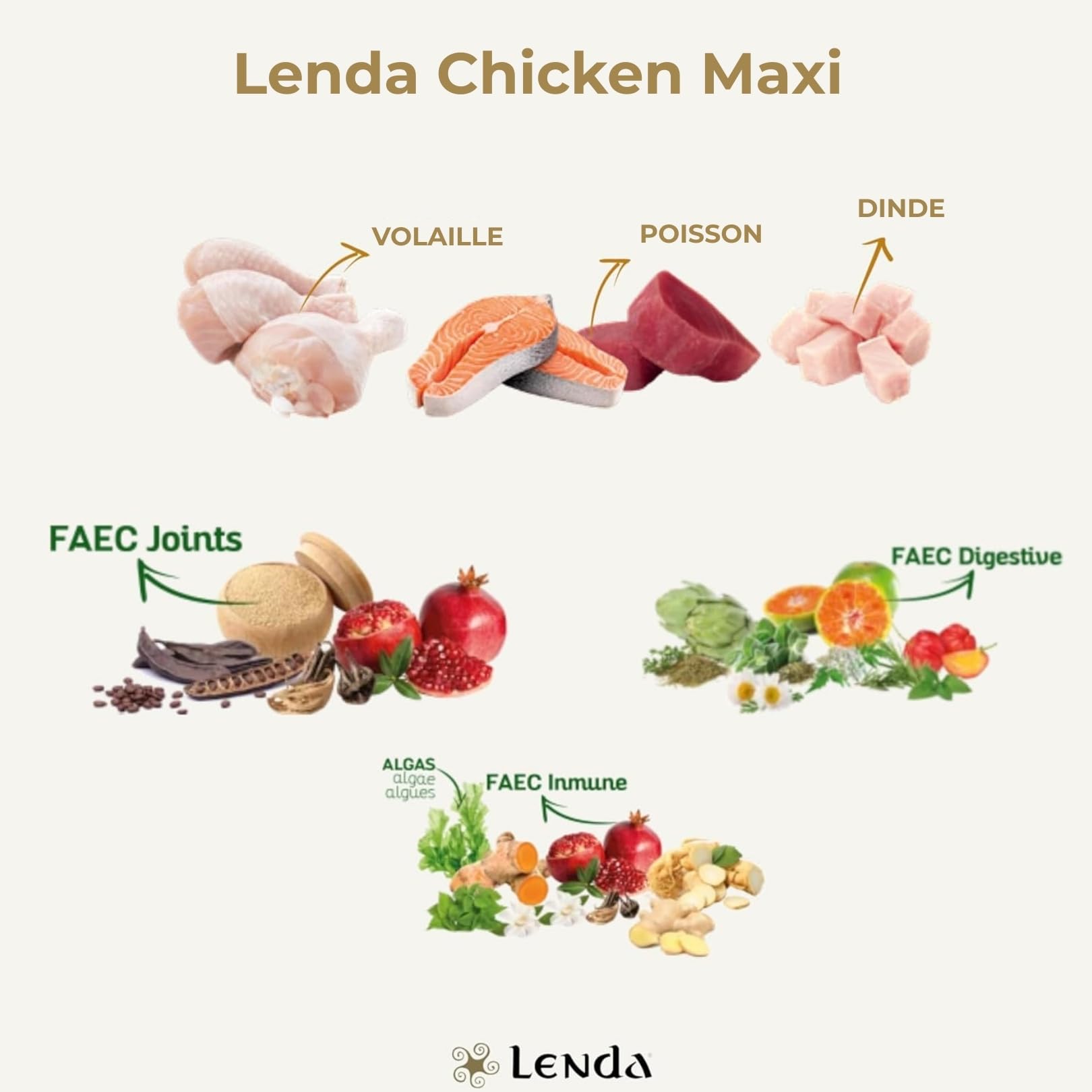 Lenda Chicken Maxi 12 kg -Croquettes Chien Jeunes et Adultes avec Chondroprotecteurs Probiotiques et Huile de Saumon – Nourriture Chien Taille Grande – Croquettes Naturelles pour Chien