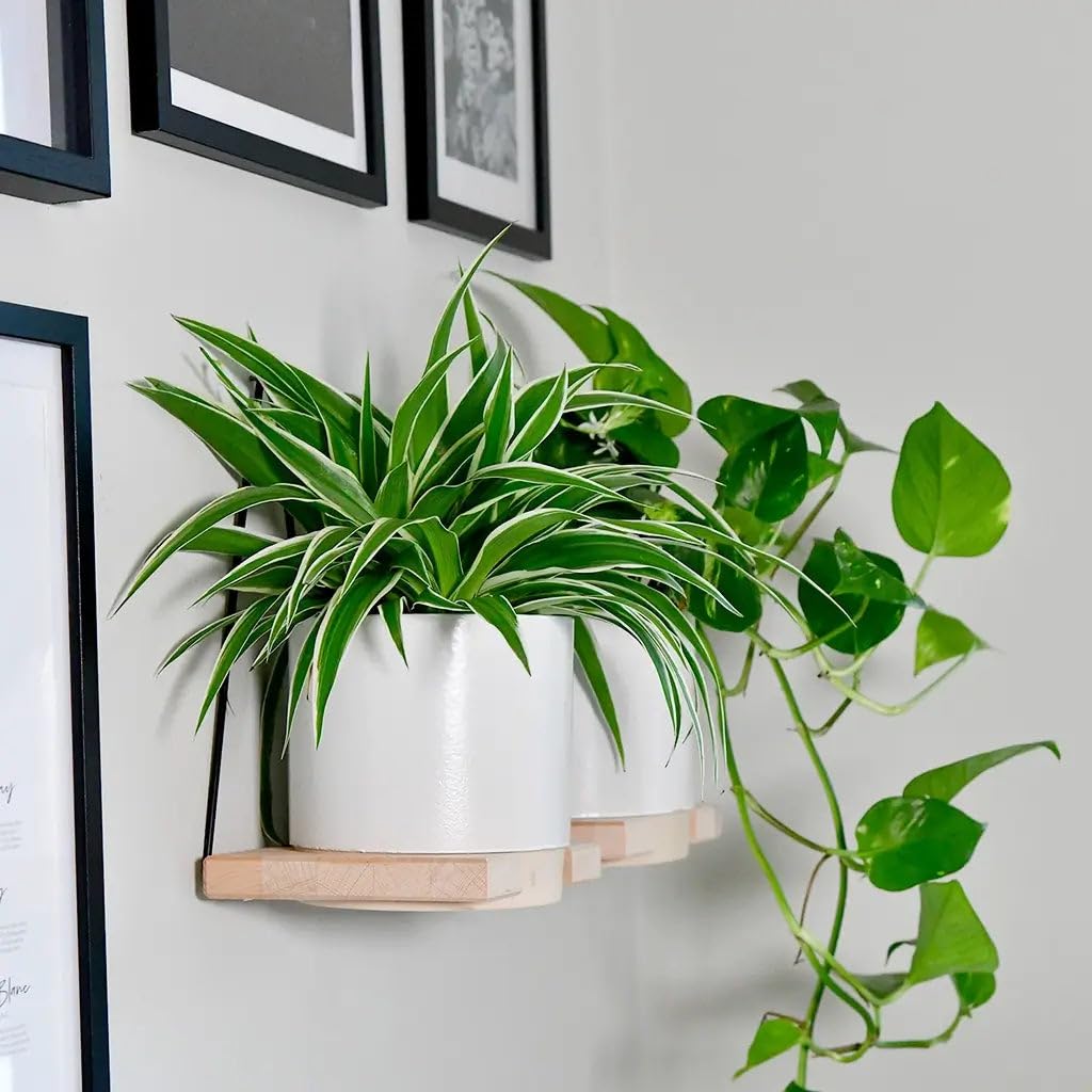 3er Blumentopf Set | 2X Keramikübertopf Weiß (13 cm), 1x Seegraskorb Natur (14 cm) | hängende Blumenkübel für Pflanzen und Kräuter | Boho Deko