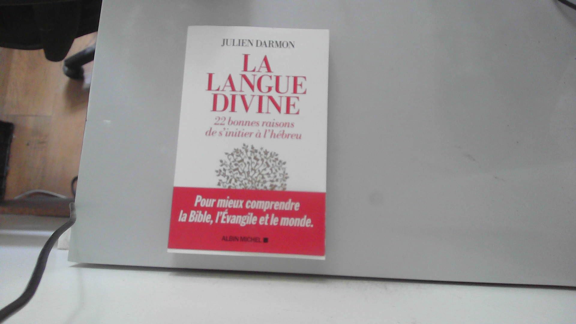 La Langue divine: 22 bonnes raisons de s'initier à l'hébreu