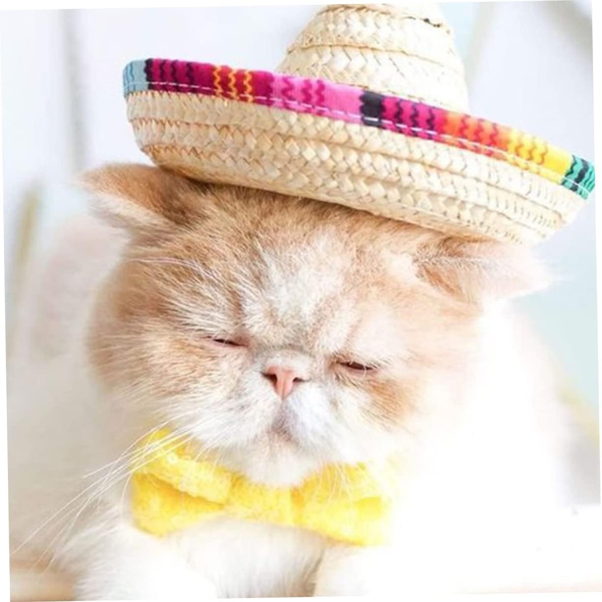 2pcs Dog Straw Hats for Party Photo Props and PET Dress image 5