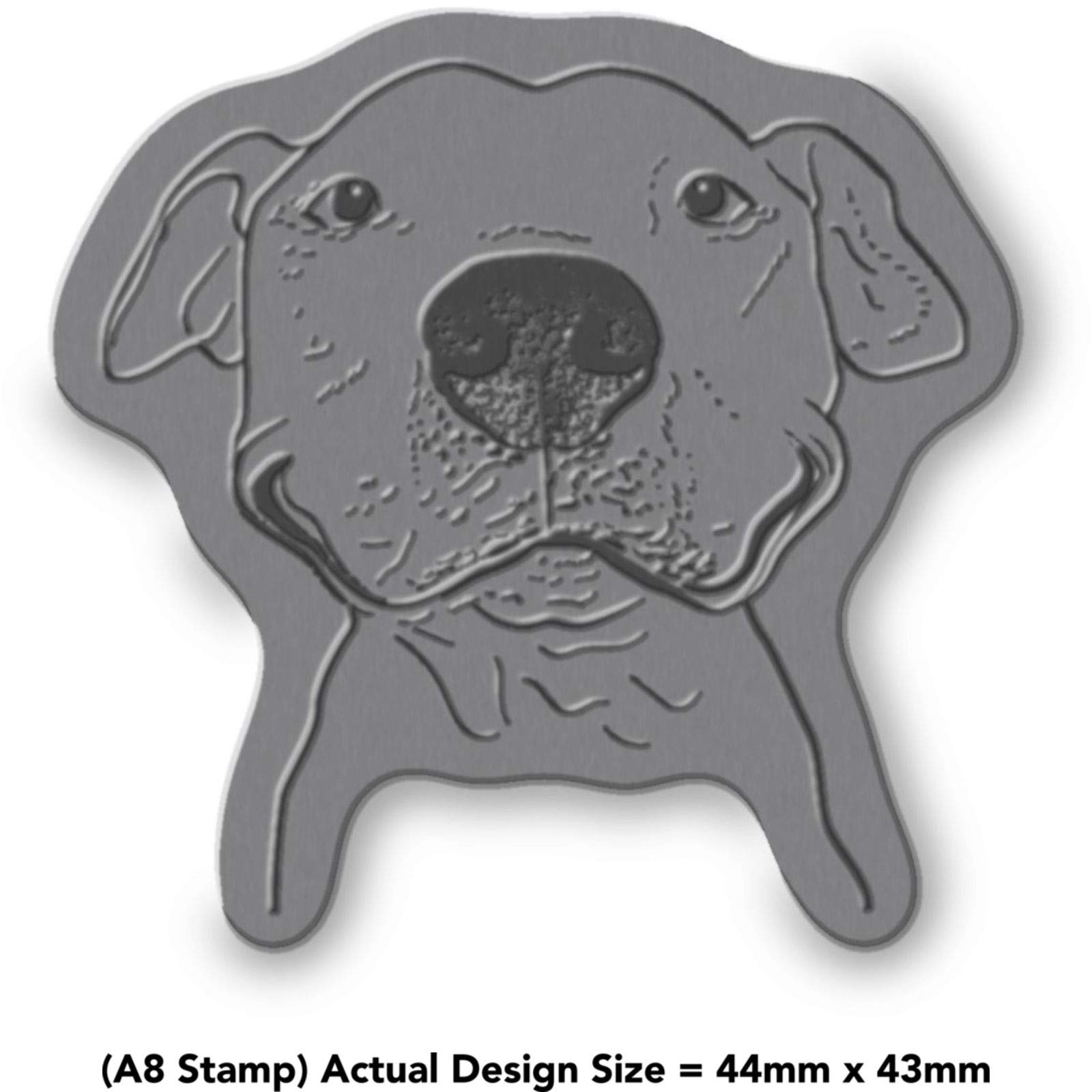 'Pit Bull Smile' Rubber Stamp - Unmounted Design for Crafting & Scrapbooking, A8 (RS00016731)