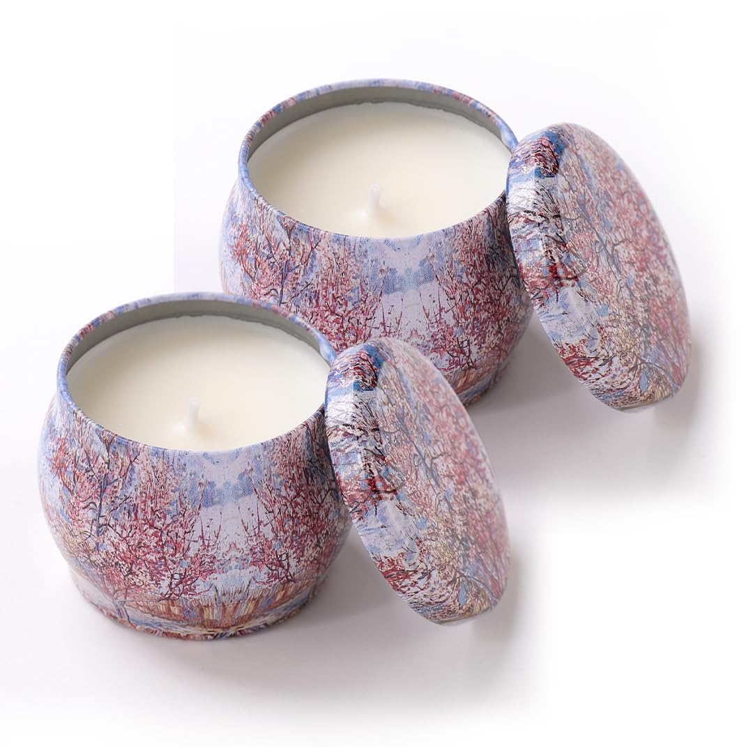 Andme Scented Candles for Home Decor (Pack of 2) | Candles for Gifting - Christmas New Year Gift Items, Birthday Gift, Vanilla Fragrance(120 GMS Each)